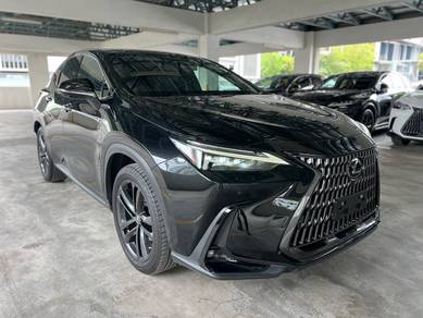 Lexus NX 250 LUXURY in Desa Petaling, KUL