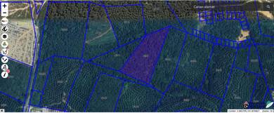 Agricultural Land in Raub, PHG