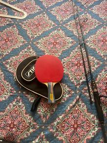 rod and pingpong