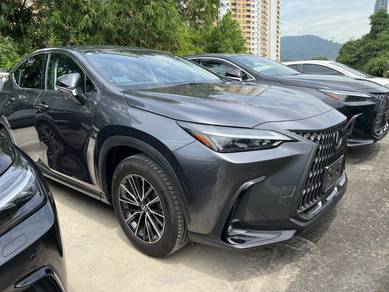 Lexus NX 250 LUXURY in City Centre, KUL