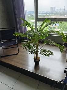 fake plant 仿真绿植