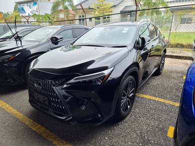 2022 Lexus NX 250 LUXURY