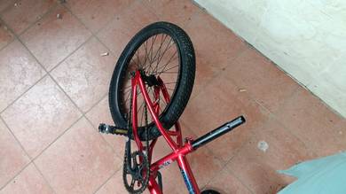 cycle body