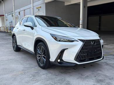 Lexus NX 250 LUXURY in Johor Bahru, JHR