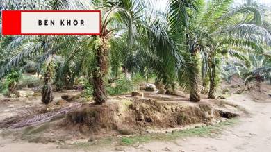 Agricultural Land in Kulim, KDH
