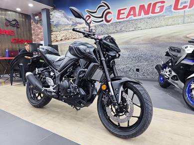 Yamaha MT250