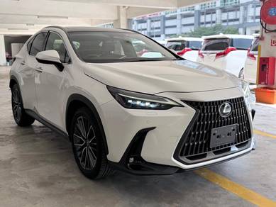2023 Lexus NX 250 LUXURY