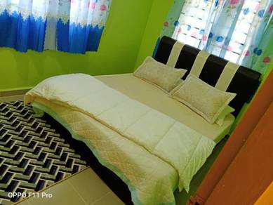 Homestay di kok lanas