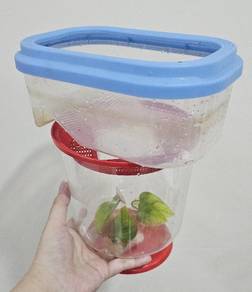 Tank bekas aquarium fish turtle
