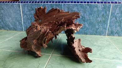 kayu aquarium lubuk ikan ada lekuk dalam