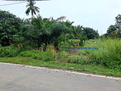 Agricultural Land in Pulau Carey, SGR
