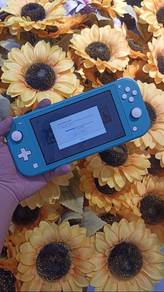 Nintendo Switch Lite Used