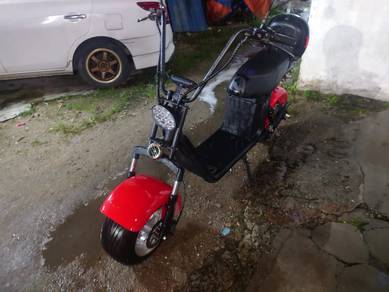scuter citycoco(electric)