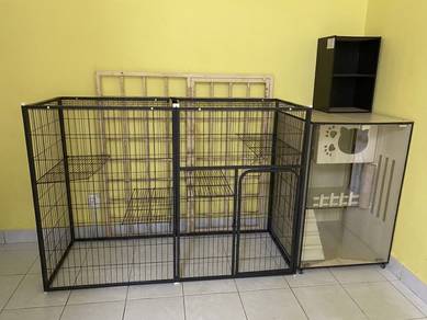 Sangkar kucing to let go
