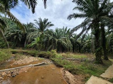 Industrial Land in Gurun, KDH