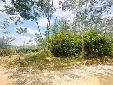 Agricultural Land in Masjid Tanah, MLK