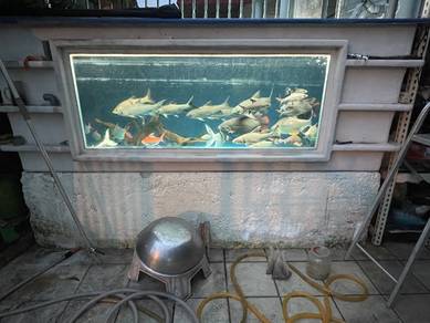 fiber glass tank 8x4x3