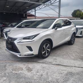 Lexus NX 300 PREMIUM in Petaling Jaya, SGR