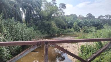 Agricultural Land in Sungai Siput, PRK