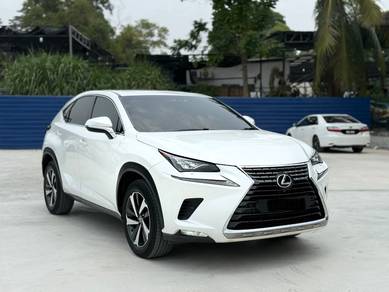 2019 Lexus NX 300 PREMIUM