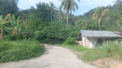 Agricultural Land in Kuala Krai, KTN