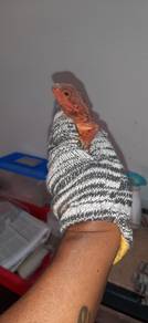 Bearded Dragon 