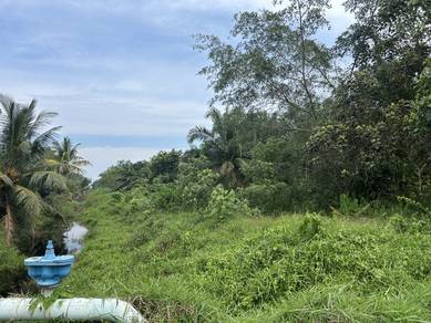 Agricultural Land in Pontian, JHR