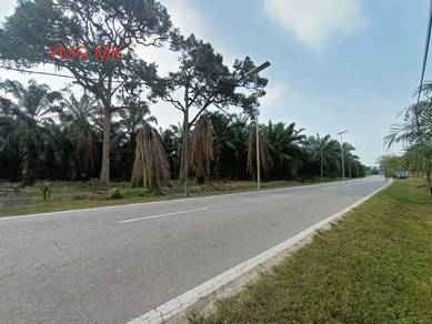 Agricultural Land in Telok Panglima Garang, SGR