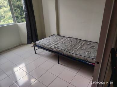 Apartment For Rent in Sri Impian Apartment