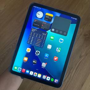 Ipad 10th Gen 256gb (Wifi)