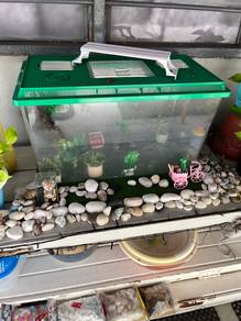 Aquarium