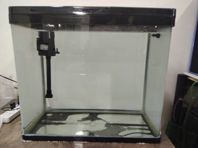 Aquarium with filter tank