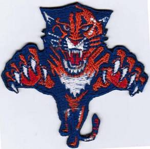 Florida Panthers NHL National Hockey League Patch