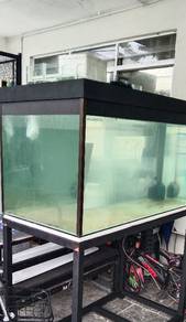 full set aquarium 