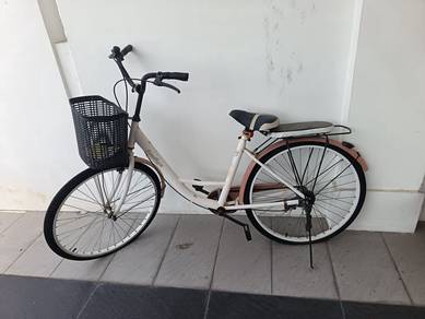 Vintage Bicycle & Front Storage Basket (24 inch)