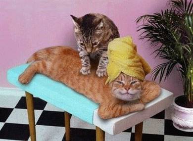 Terapis Spa / Spa Therapist