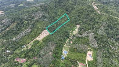 Agricultural Land in Kuala Pilah, NSN