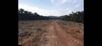 Agricultural Land in Skudai, JHR