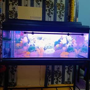 Akuarium 4FT 