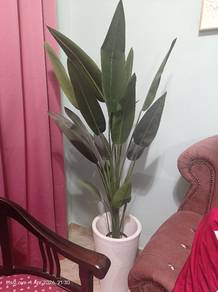Pokok Hiasan 