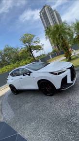 Lexus NX 350 F SPORT in Kota Kinabalu, SBH