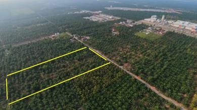 Agricultural Land in Kuala Selangor, SGR