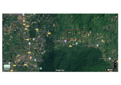 Agricultural Land in Pendang, KDH