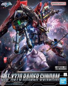 Bandai 1/100 MG FM Gundam Raider