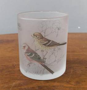 Bird watching frosted glass cup
