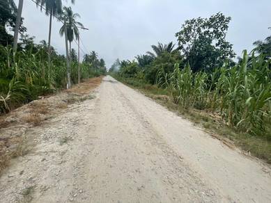 Agricultural Land in Kapar, SGR