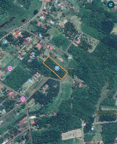 Agricultural Land in Pekan, PHG