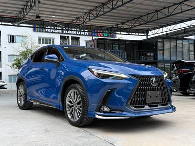 2023 Lexus NX 250 LUXURY