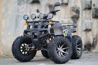 ESV ATV 250cc Warrior S25 Full Spec Off Road Kebun