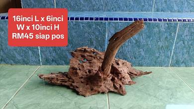 Driftwood-kayu aquarium tenggelam
